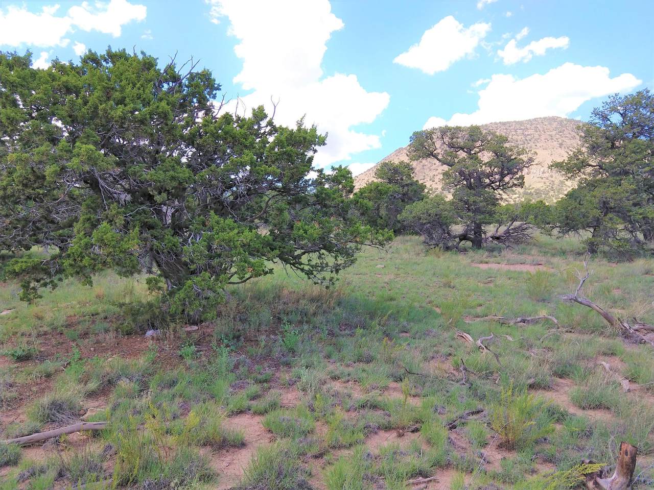 lot 22 Agua Fria Trail - Photo 1