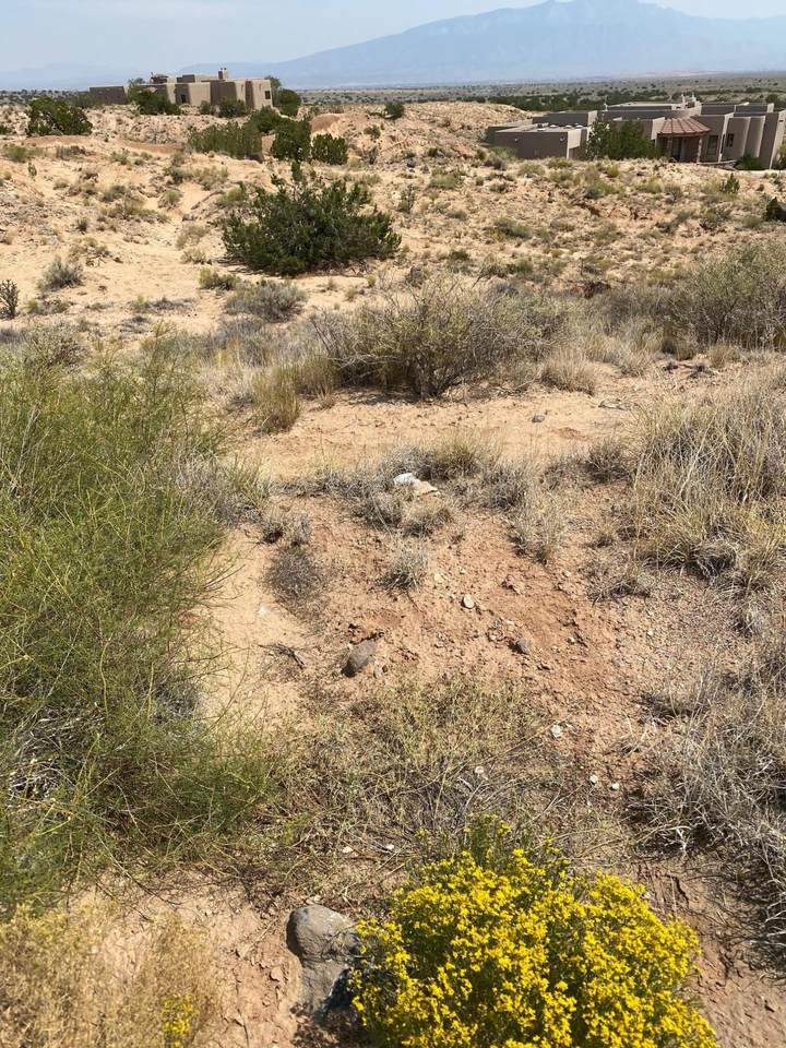 2410 Desert Zinnia Road - Photo 1