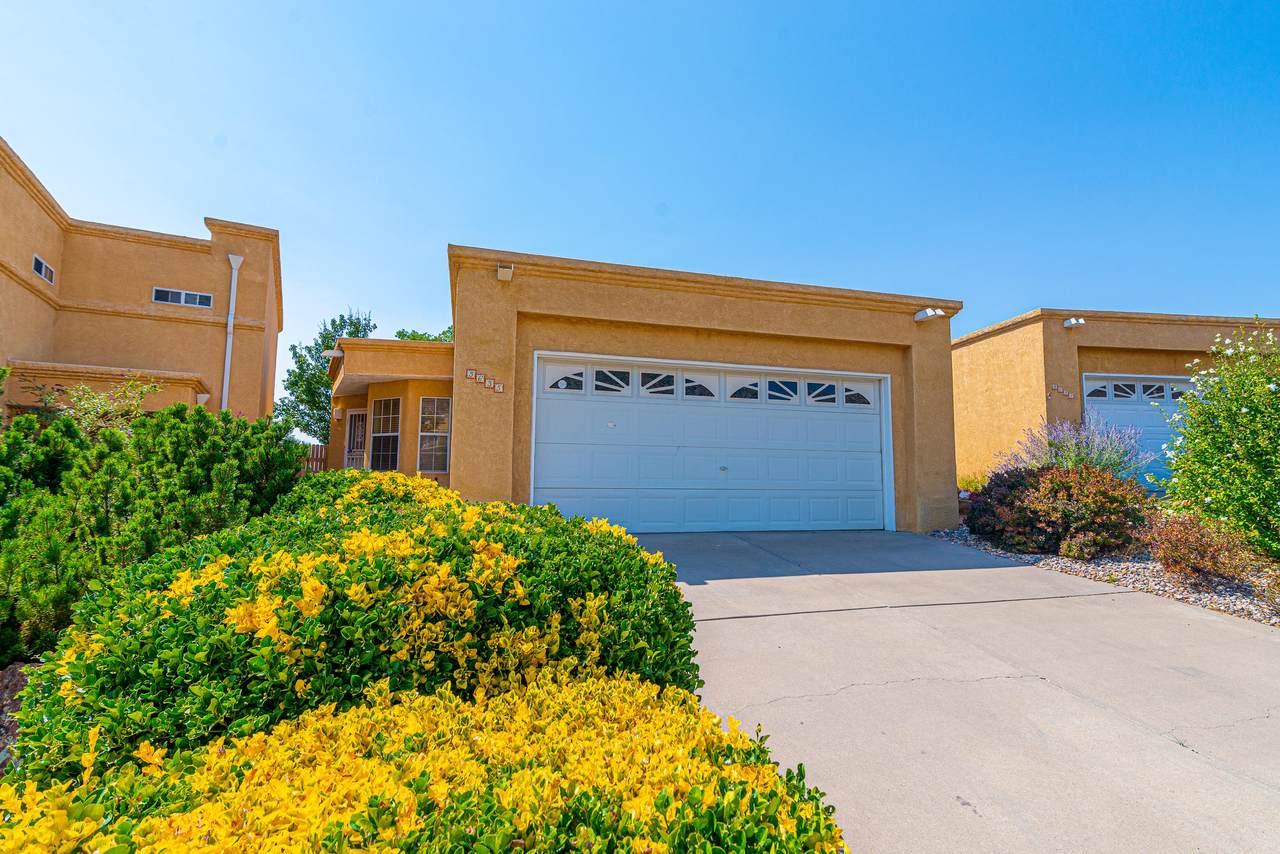 3635 Calle Pino - Photo 1