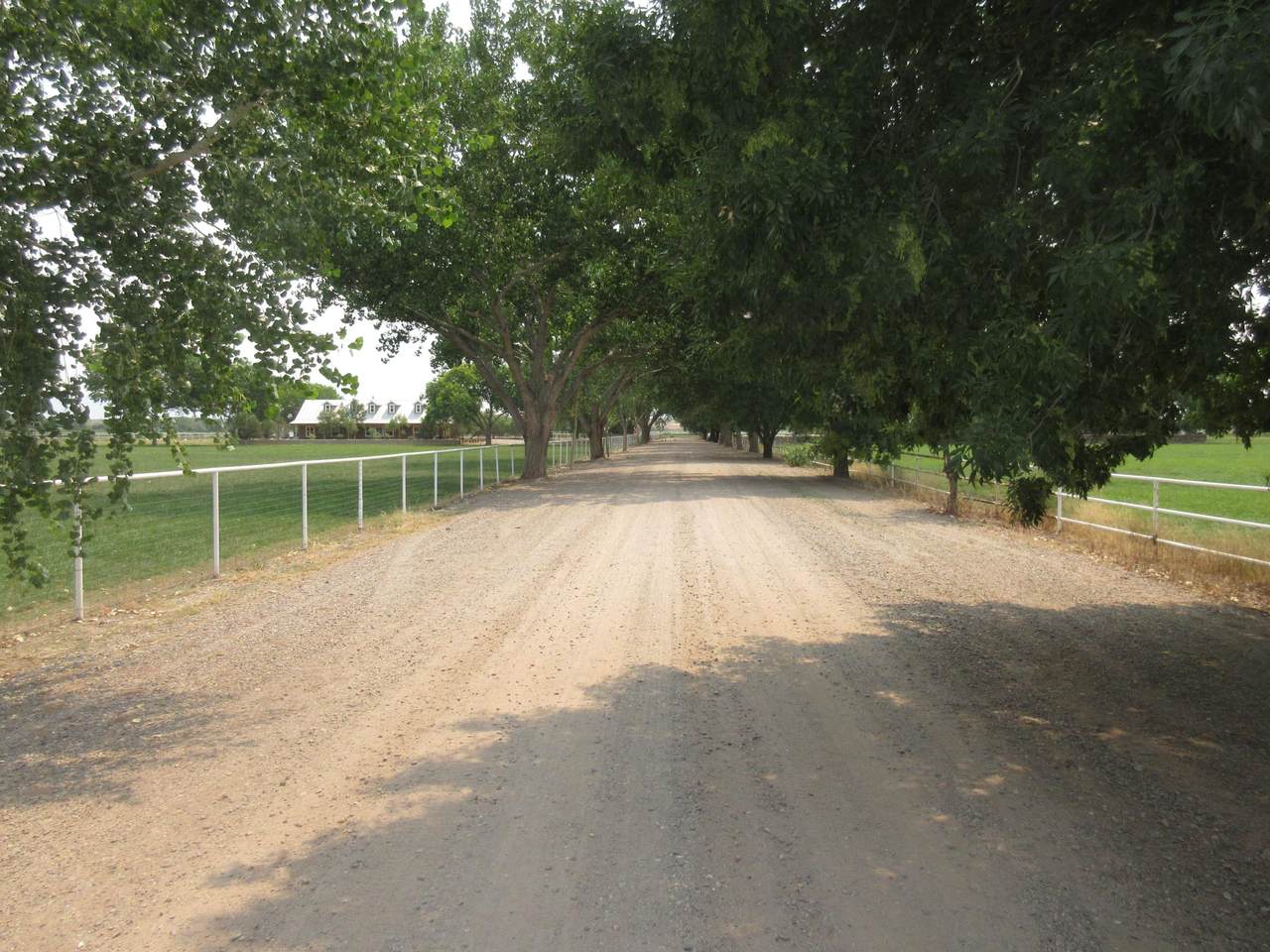 210 Jaramillo Loop - Photo 1