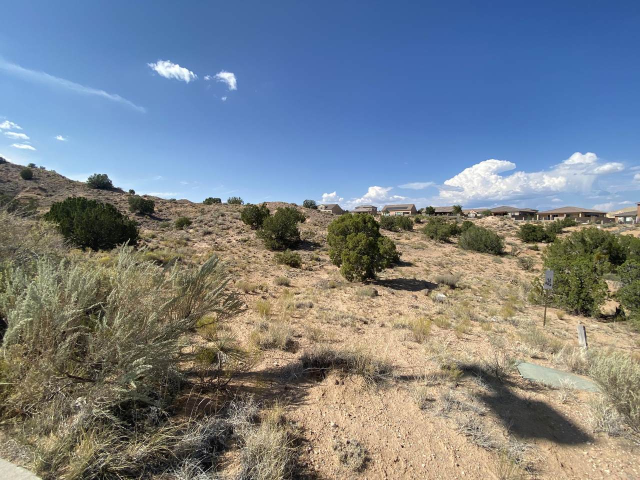 2304 Desert Marigold Road - Photo 1