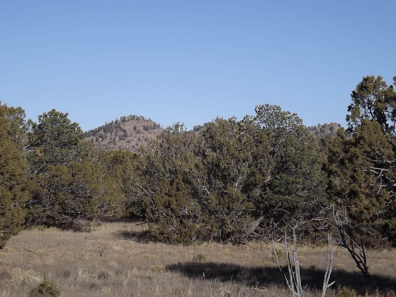 Us Highway 54 - Photo 1