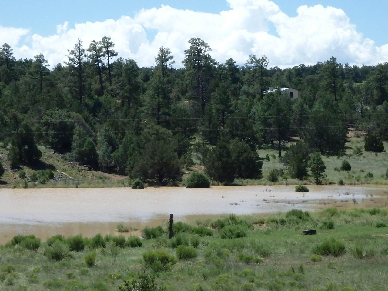 Hunting Retreat - Photo 1