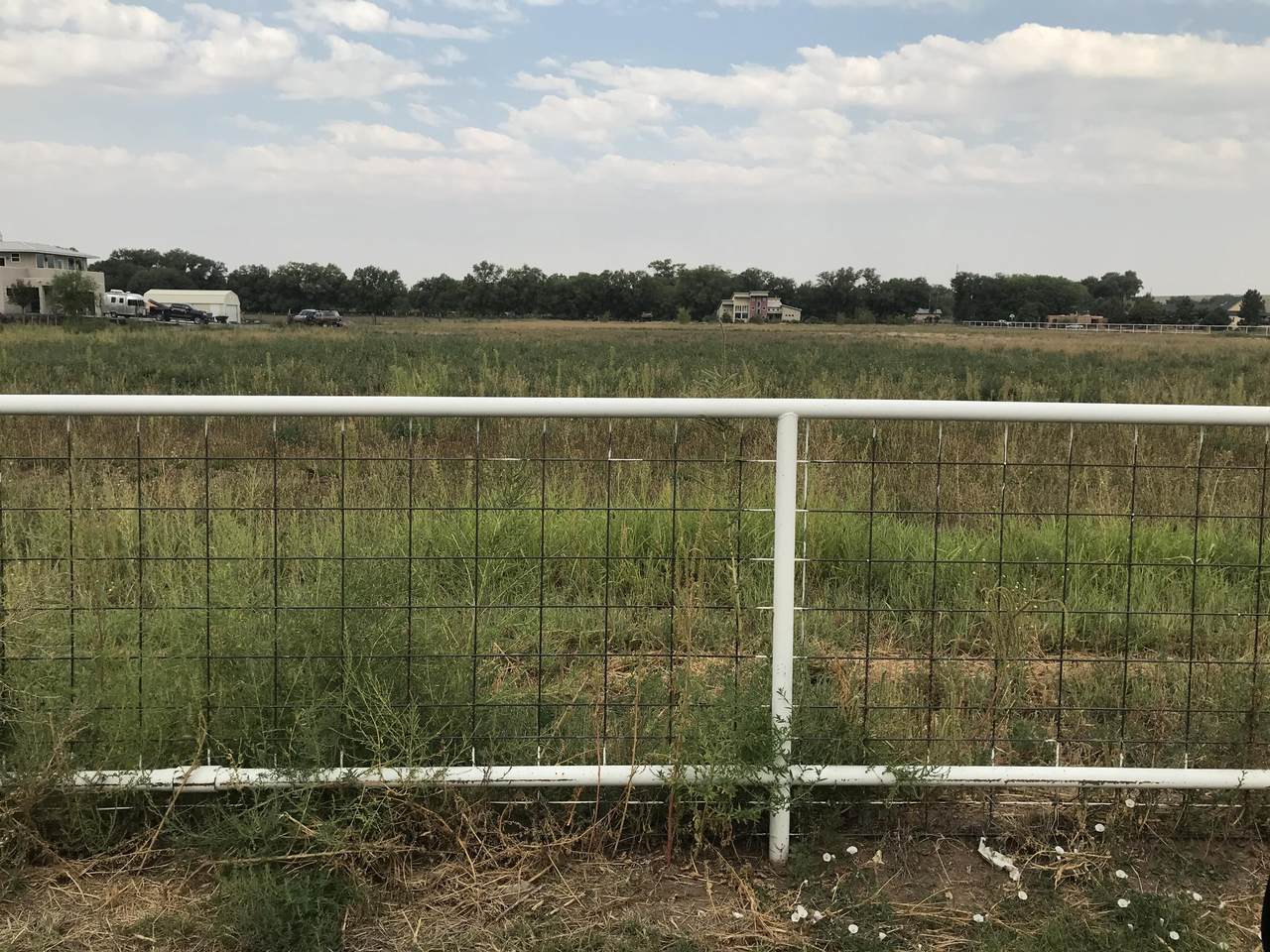 Silver Lane& 314 - Photo 1