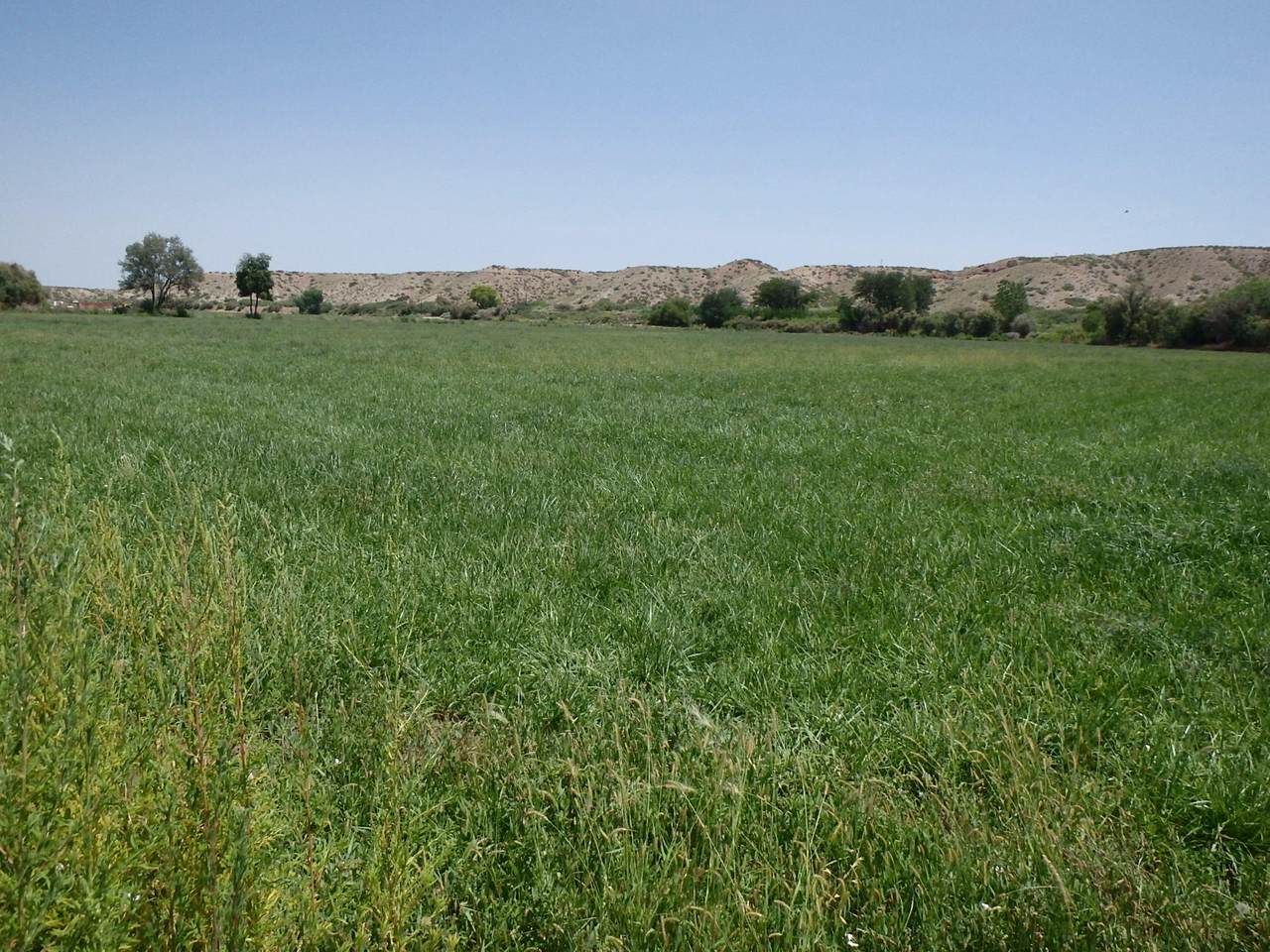 La Joya Farm Lots 3,4,5,6 - Photo 1