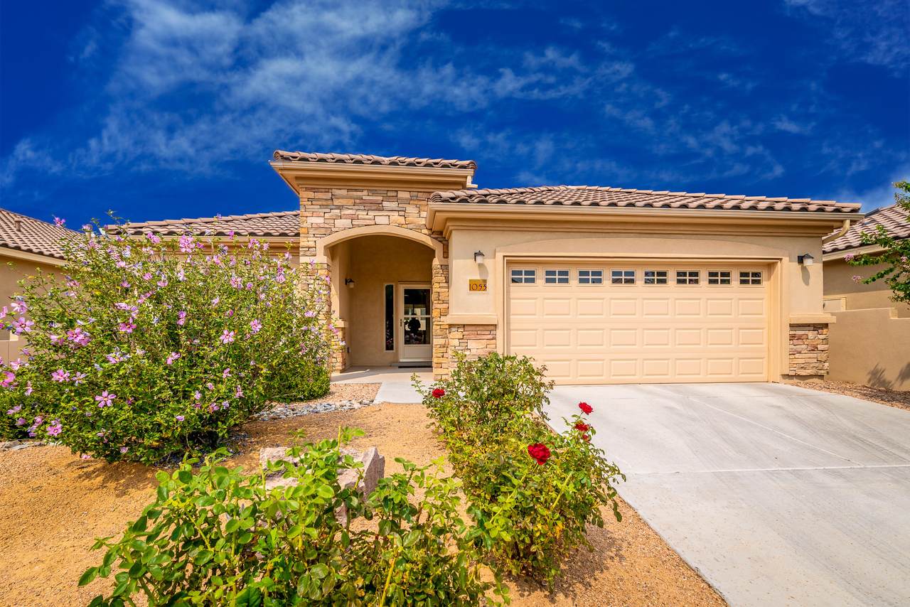 1053 Prairie Zinnia Drive - Photo 1