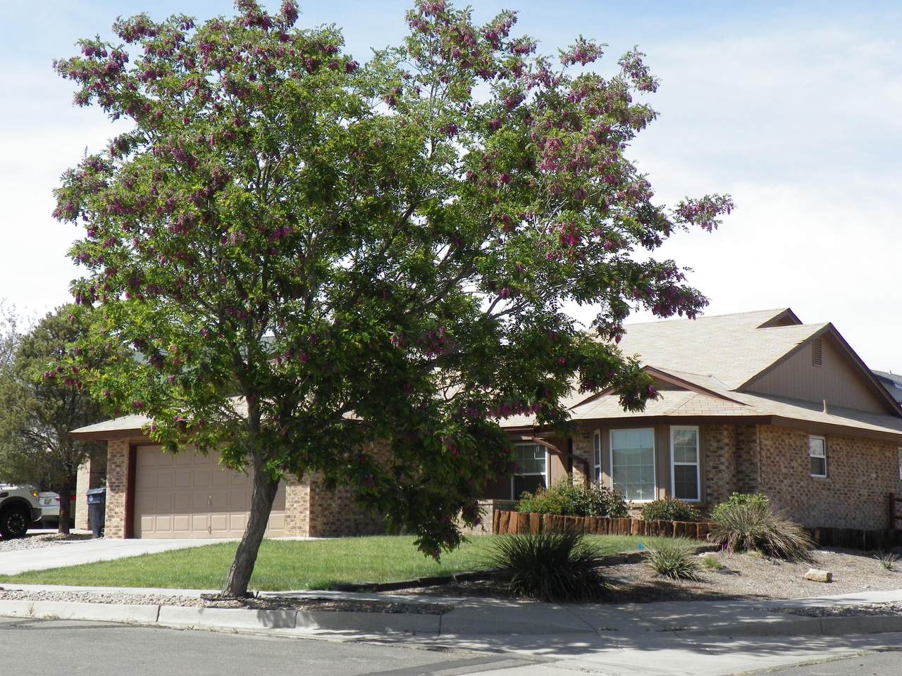 4601 Dusty Trail Court - Photo 1