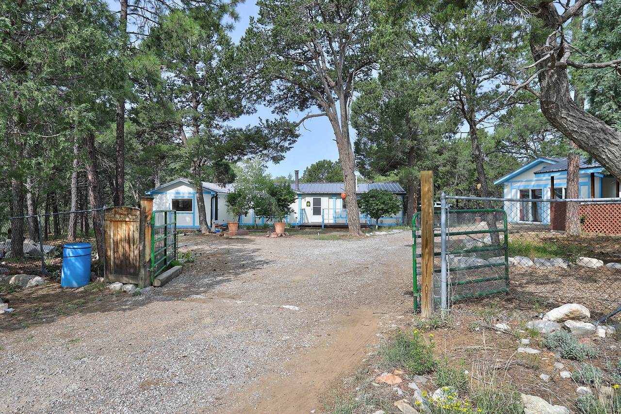 16 Peacock South Lane - Photo 1