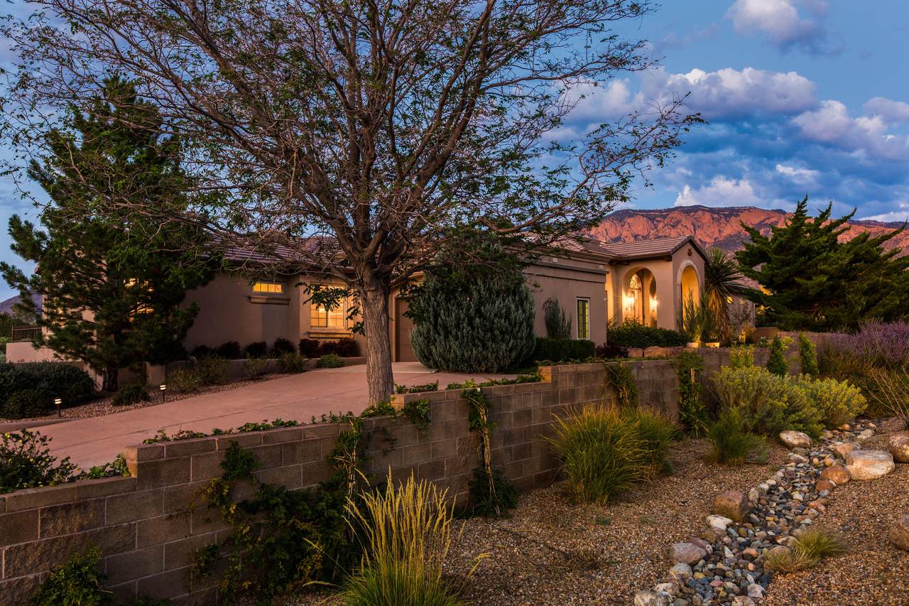 9621 Elena Avenue - Photo 1