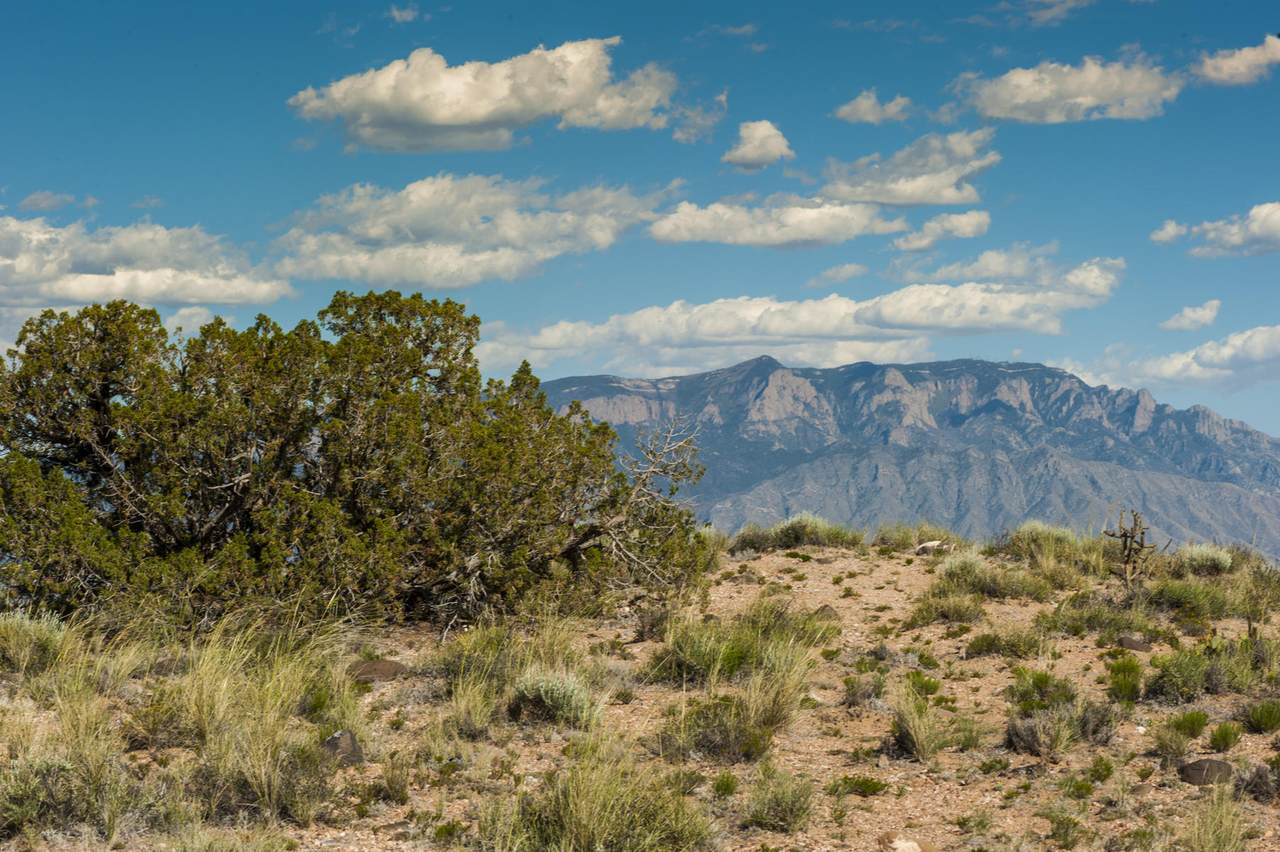 0 Ridgeline Place - Photo 1