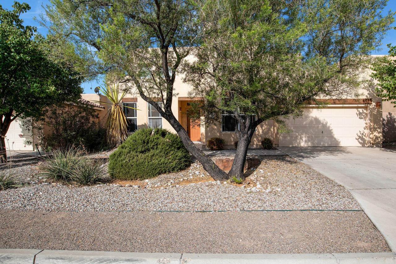 6601 Salt Cedar Trail - Photo 1