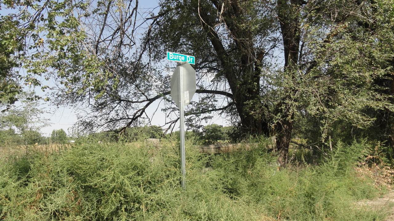 Molina Road Tract 3 - Photo 1