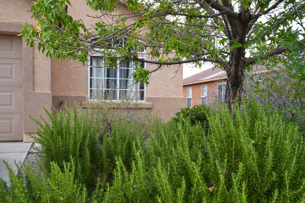 9308 Verdad Del Luz Court - Photo 1