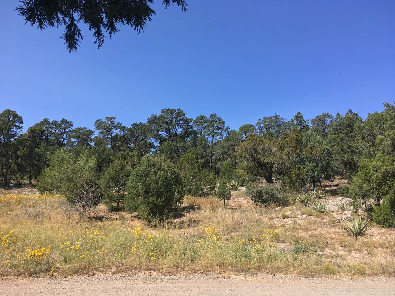 Ogaz Loop - Photo 1