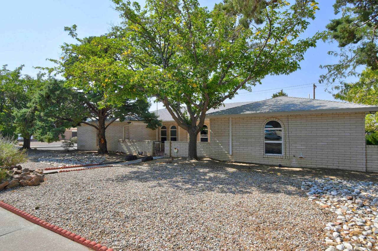 1121 Sagebrush Trail - Photo 1