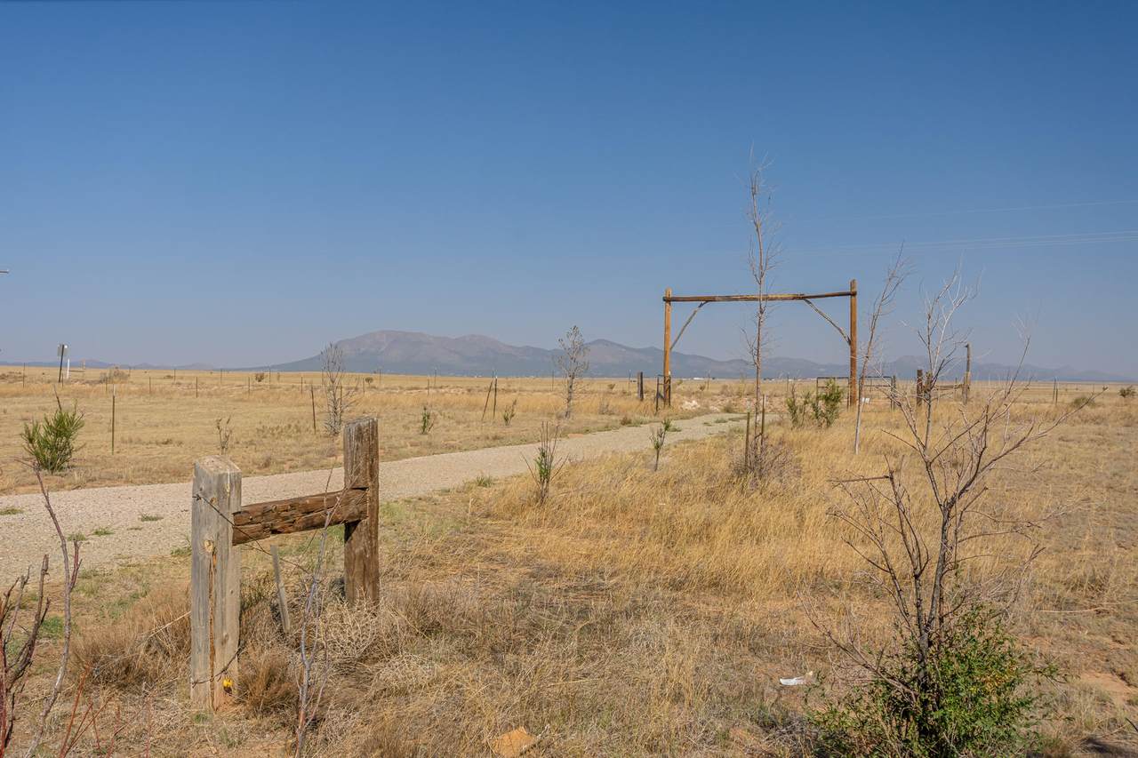 654 Dinkle Road - Photo 1