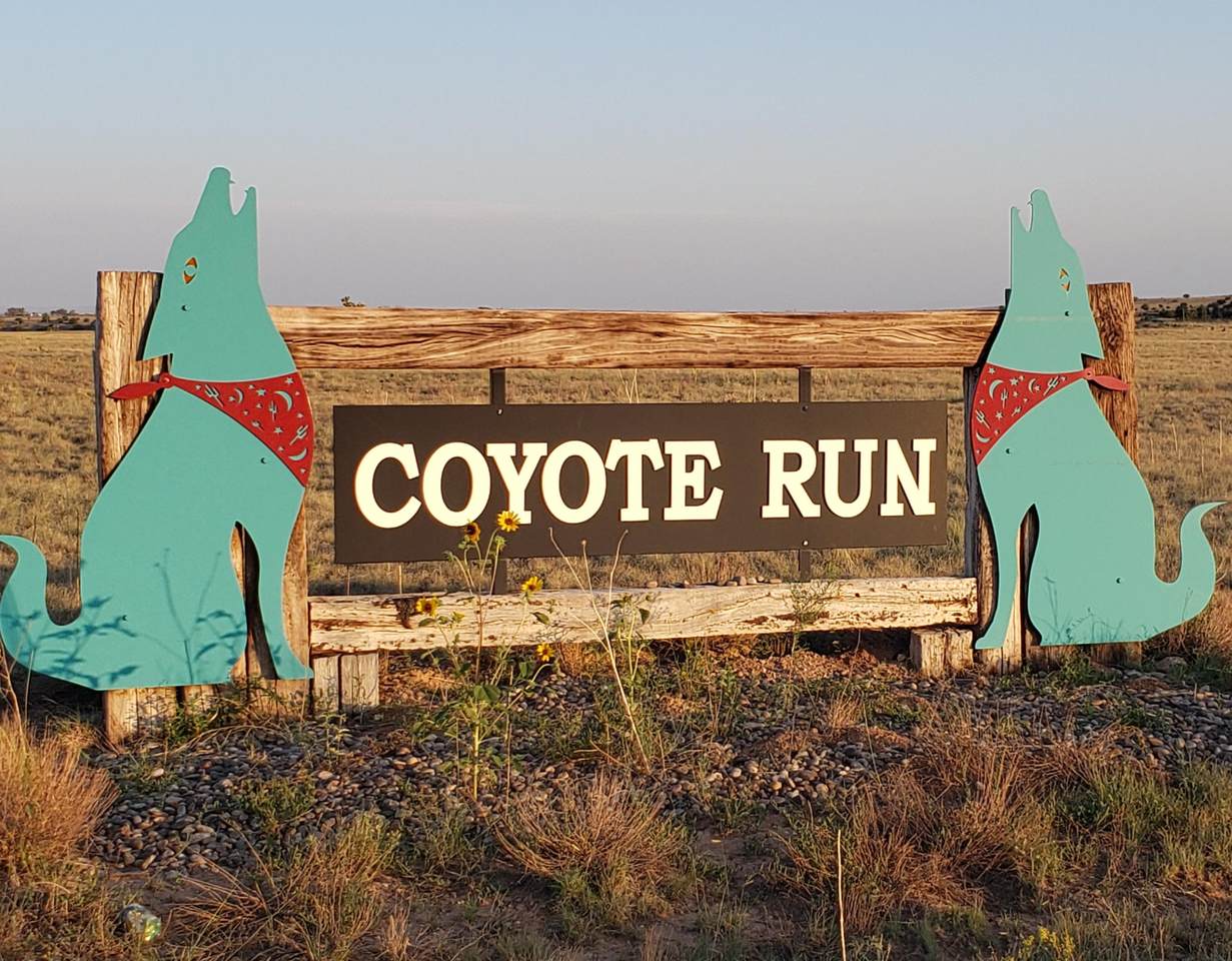 Quail Trail - Photo 1