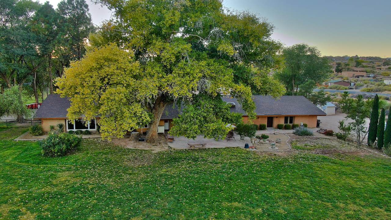 470 Calle Conejo - Photo 1