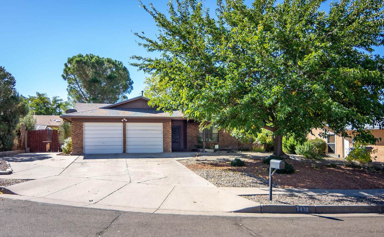 7438 Volunteer Street - Photo 1
