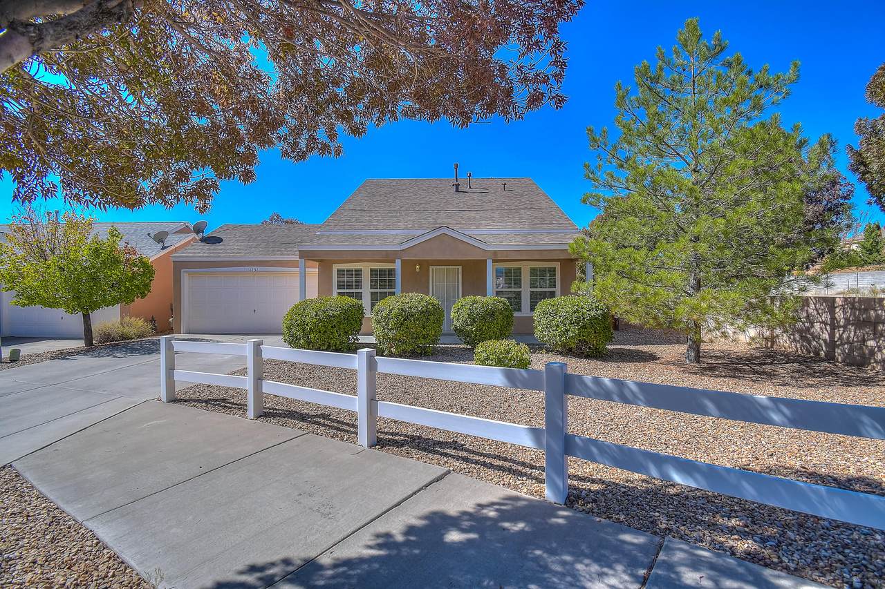 10731 Miera Drive - Photo 1