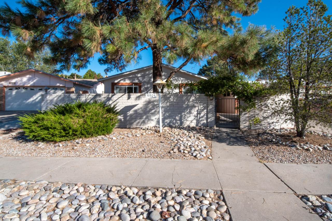 9905 San Gabriel Road - Photo 1