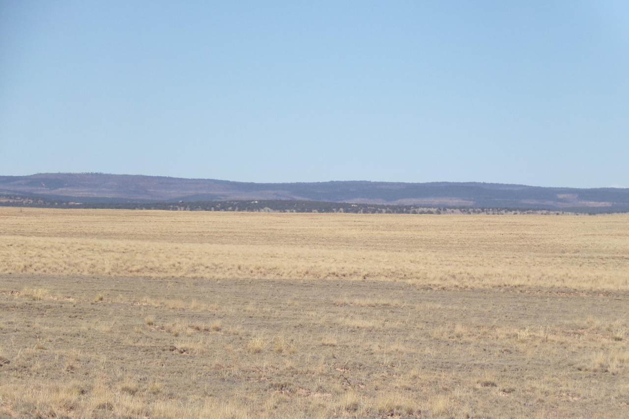 Myers Road - Photo 1