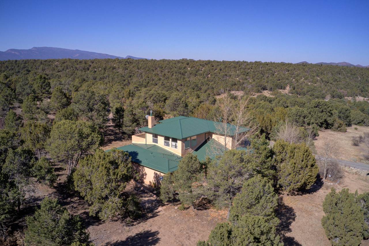 51 Woodlands Drive - Photo 1