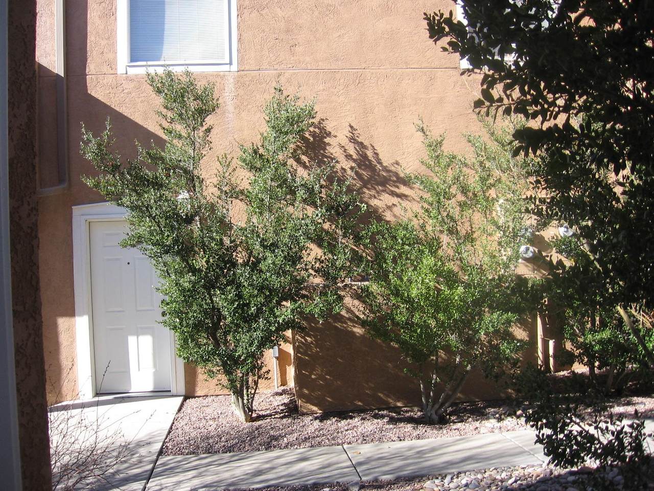 1008 Mineral Way - Photo 1