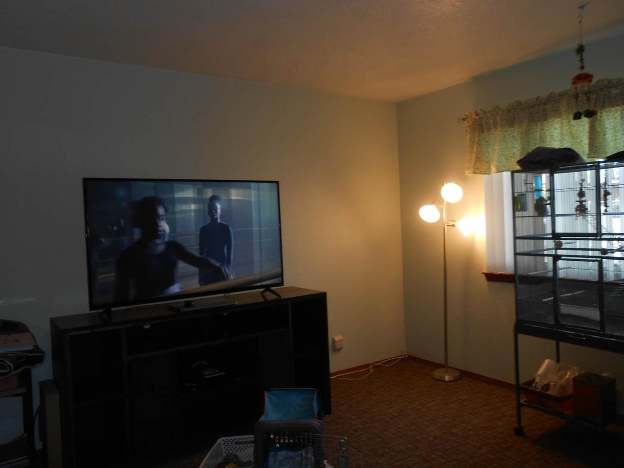 1324 Vista Del Rio Road - Photo 1