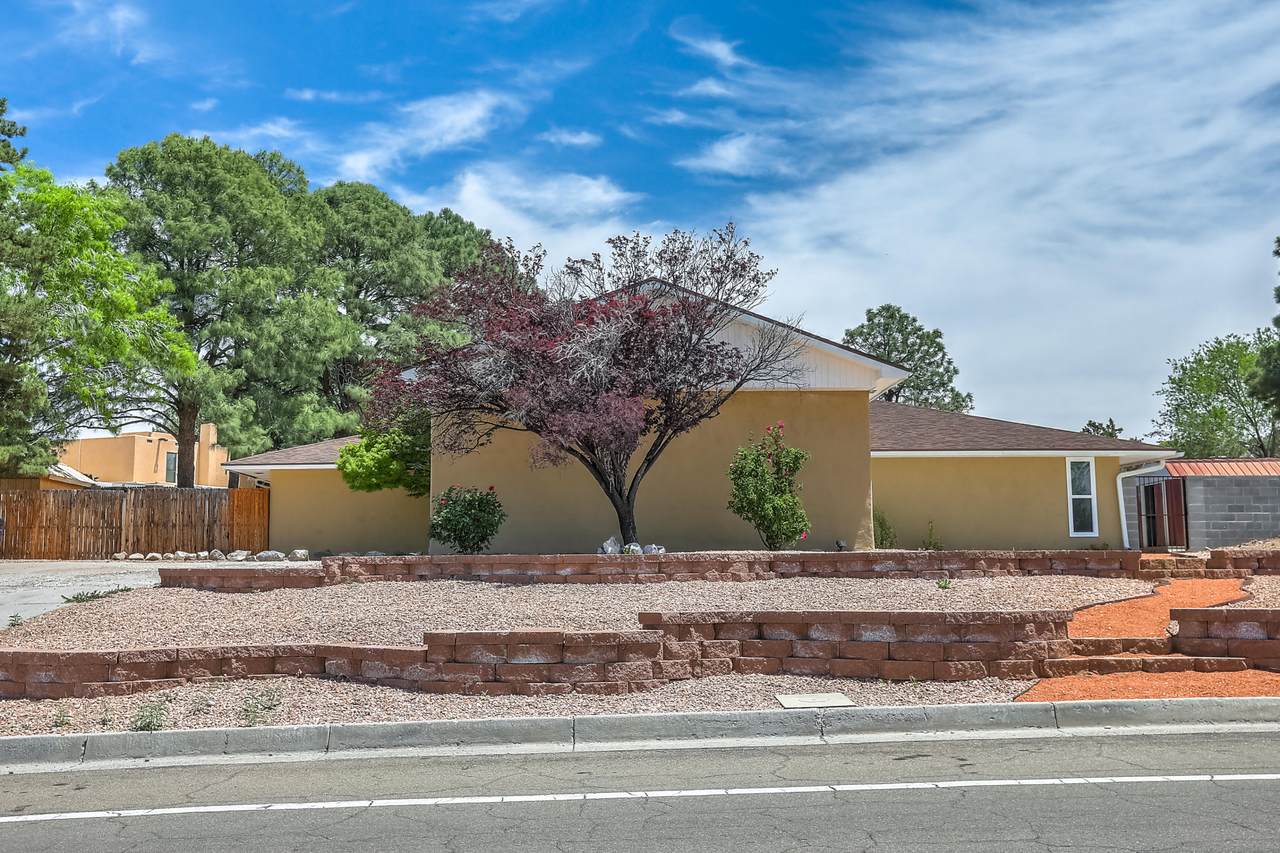 1204 Wagon Train Drive - Photo 1
