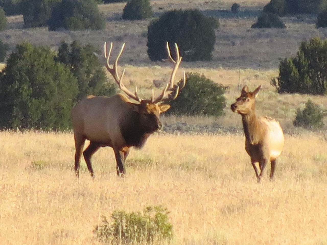 Cibola County Rd 47 - Photo 1