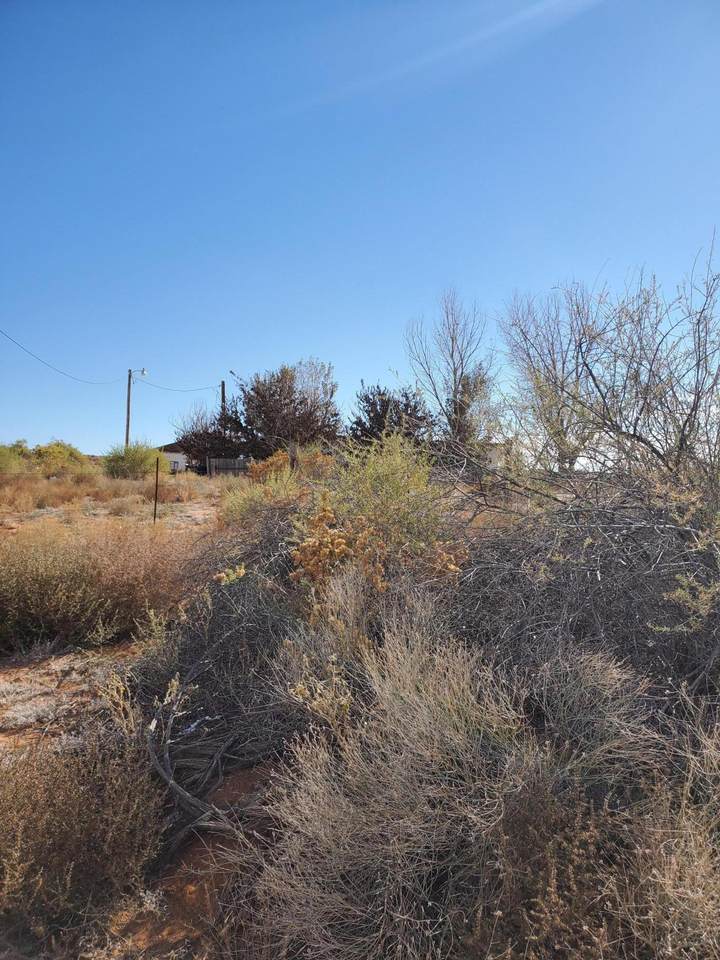 Lorraine Dr - Photo 1