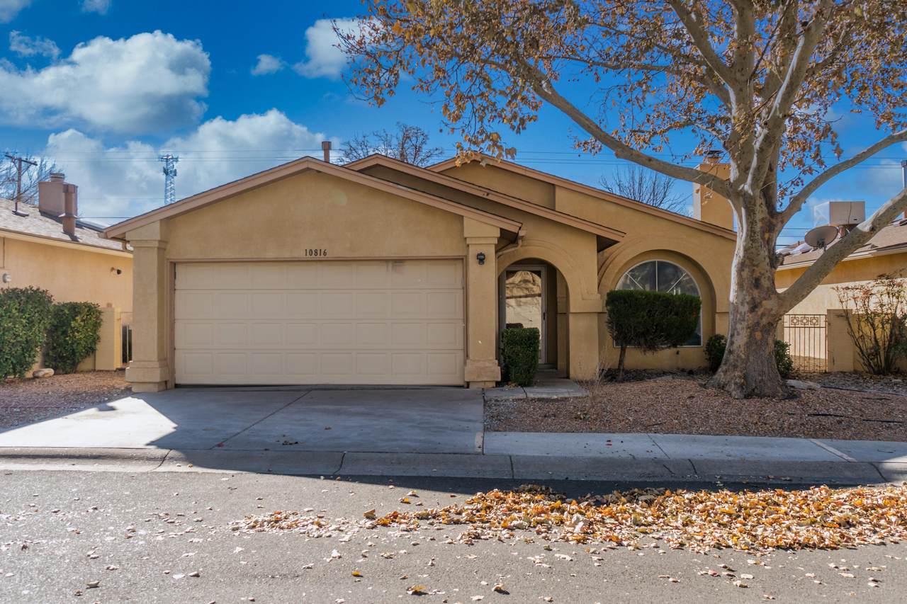 10816 Lagrange Park Drive - Photo 1
