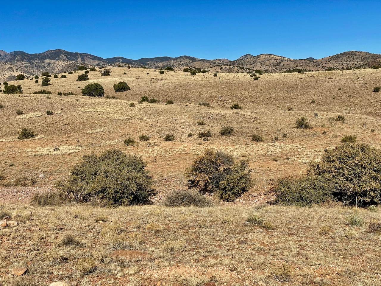 2A Willow Springs Ranch - Photo 1