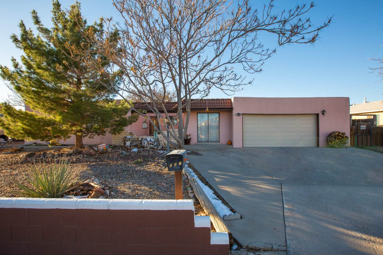 307 Oreja De Oro Drive - Photo 1