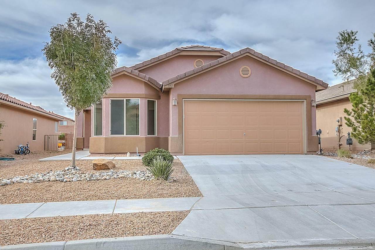 851 Purple Aster Avenue - Photo 1