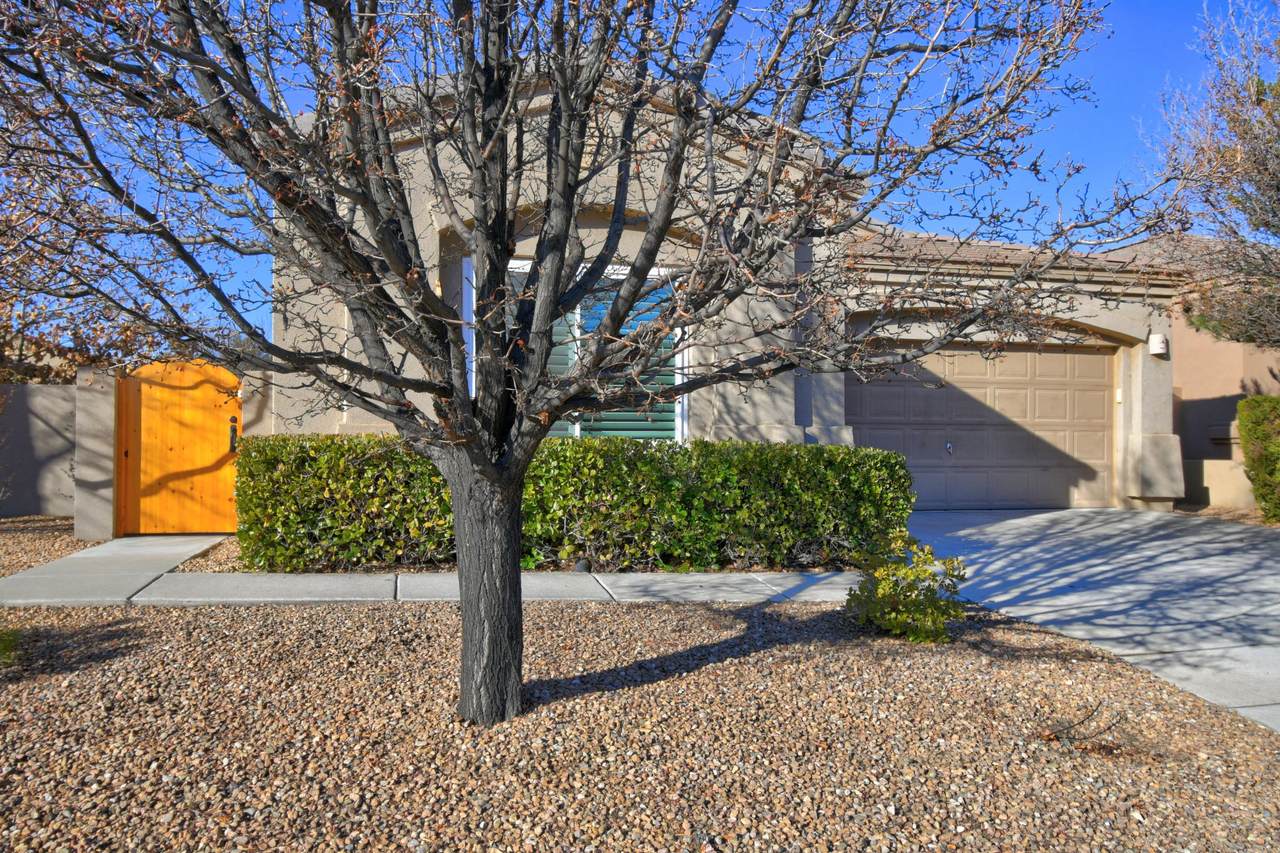 3815 Tundra Swan Court - Photo 1