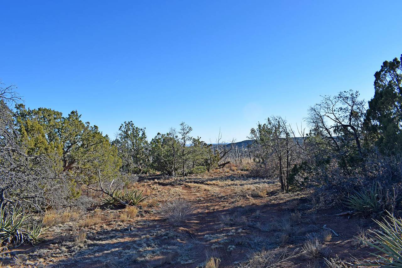 Lot 25 Roadrunner Court - Photo 1