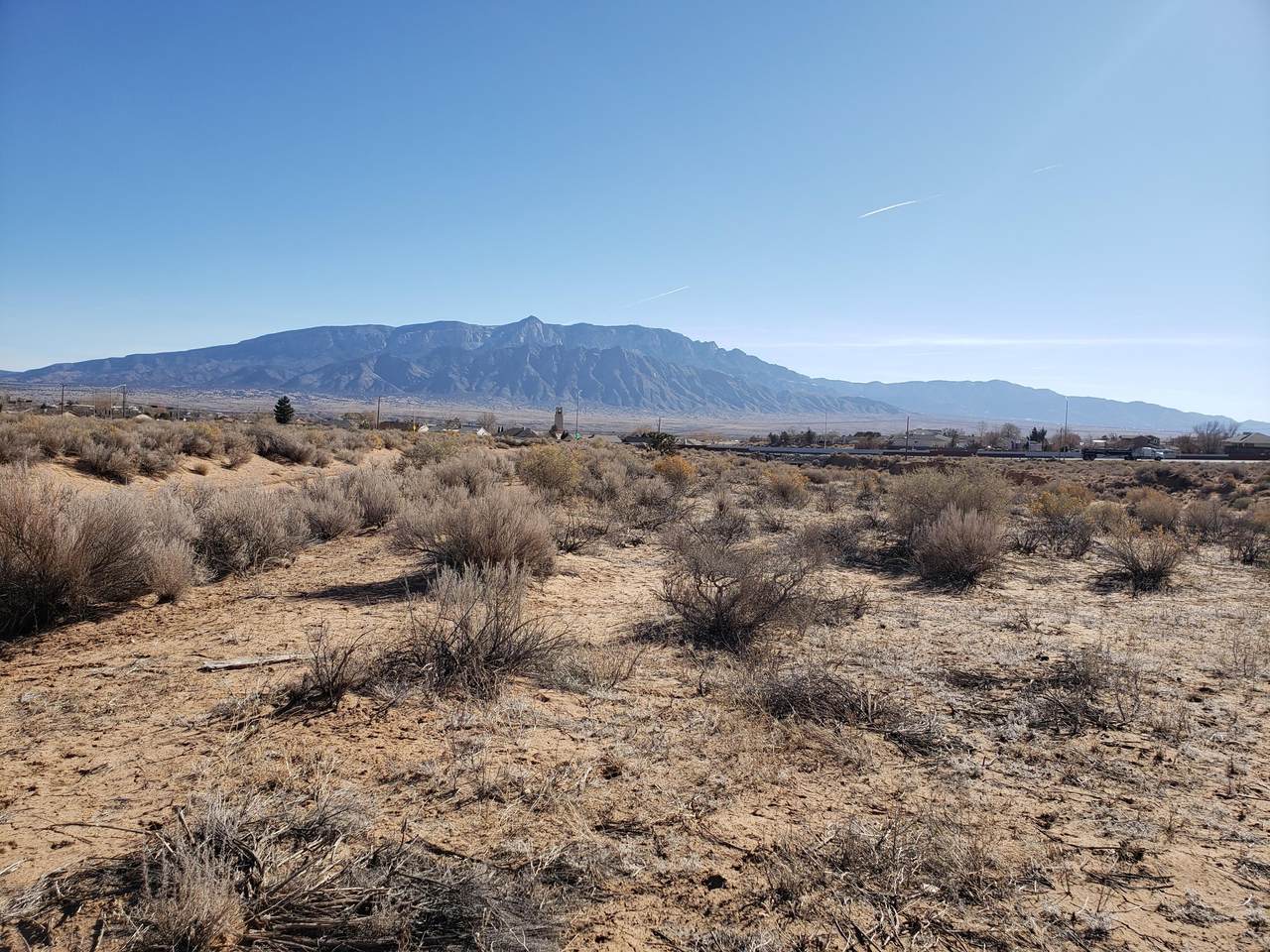 6233 Lupin Road - Photo 1