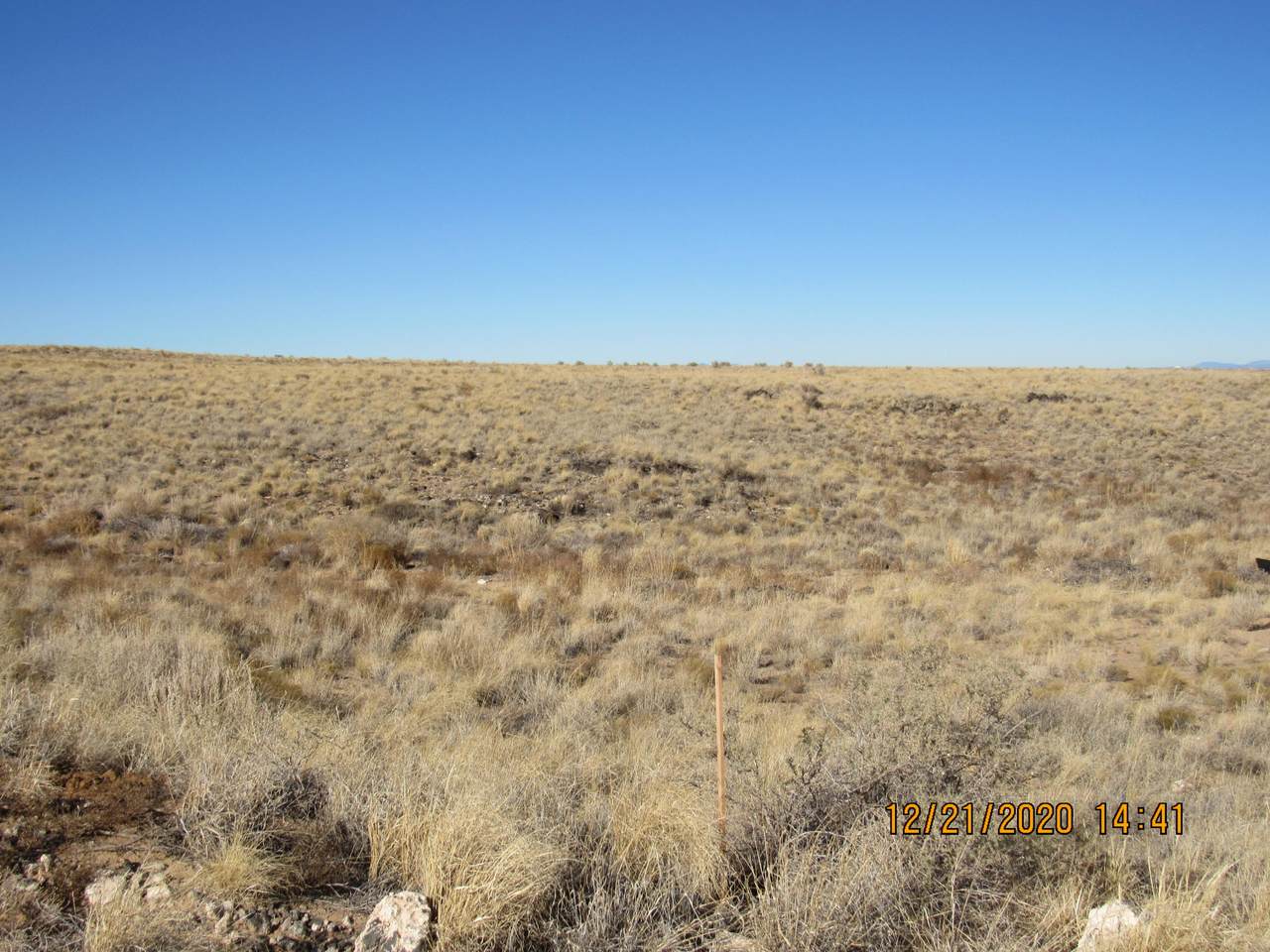 Vista Vieja (Gila) (Se P T11) Avenue - Photo 1