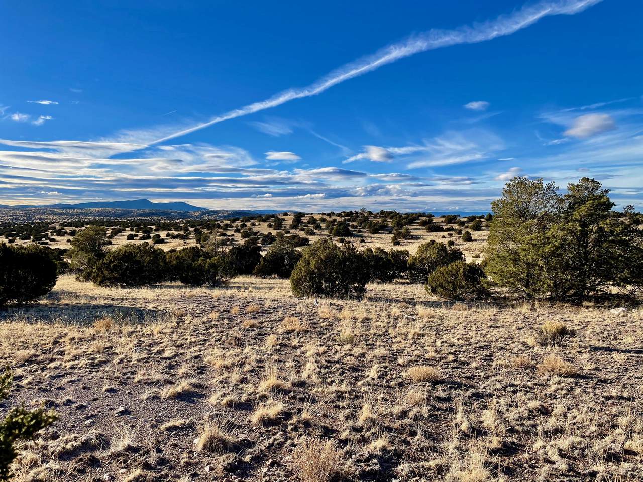 47 Pinon Springs Road - Photo 1
