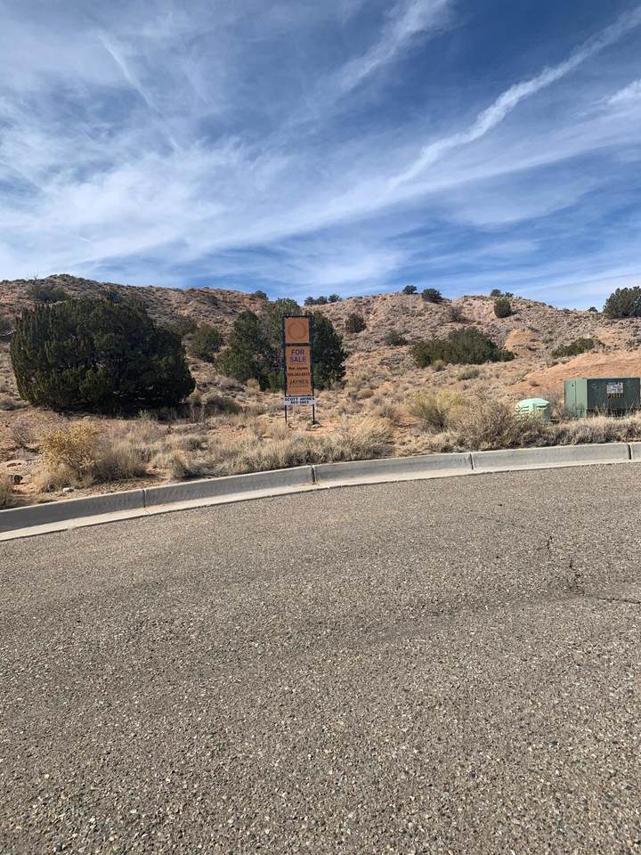 2301 Desert Marigold Road - Photo 1