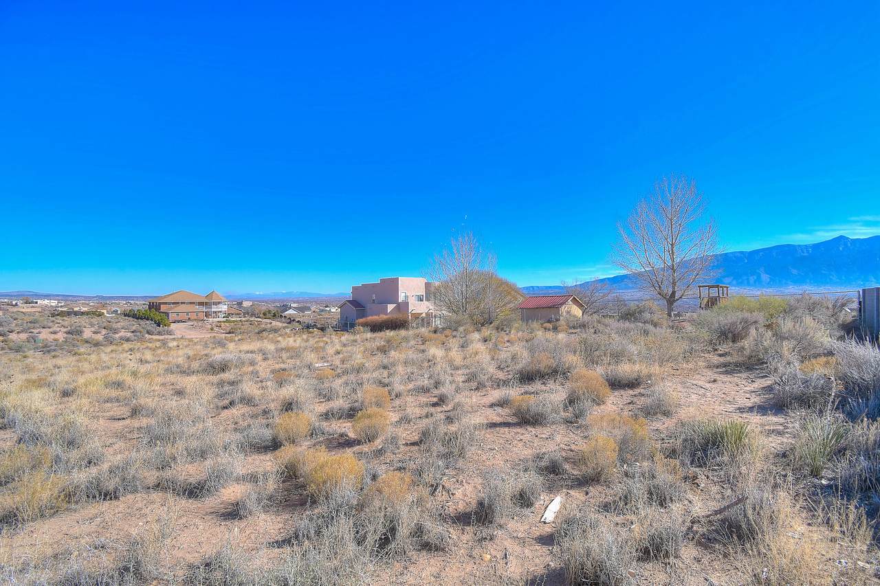 6908 Tampico Road - Photo 1