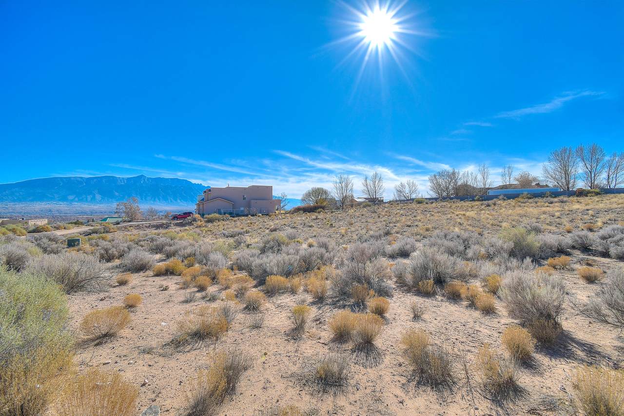 6904 Tampico Road - Photo 1