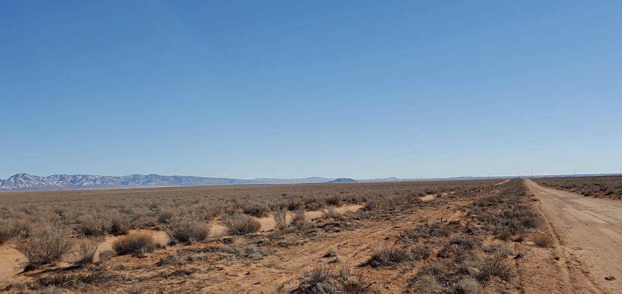 Tierra Grande Lot 5-7 Pito Ct - Photo 1