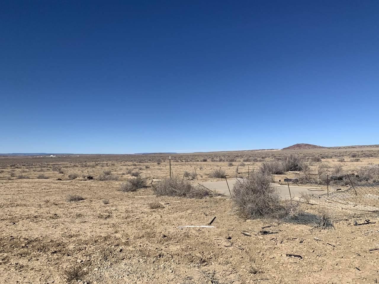 14120 Pajarito Road - Photo 1