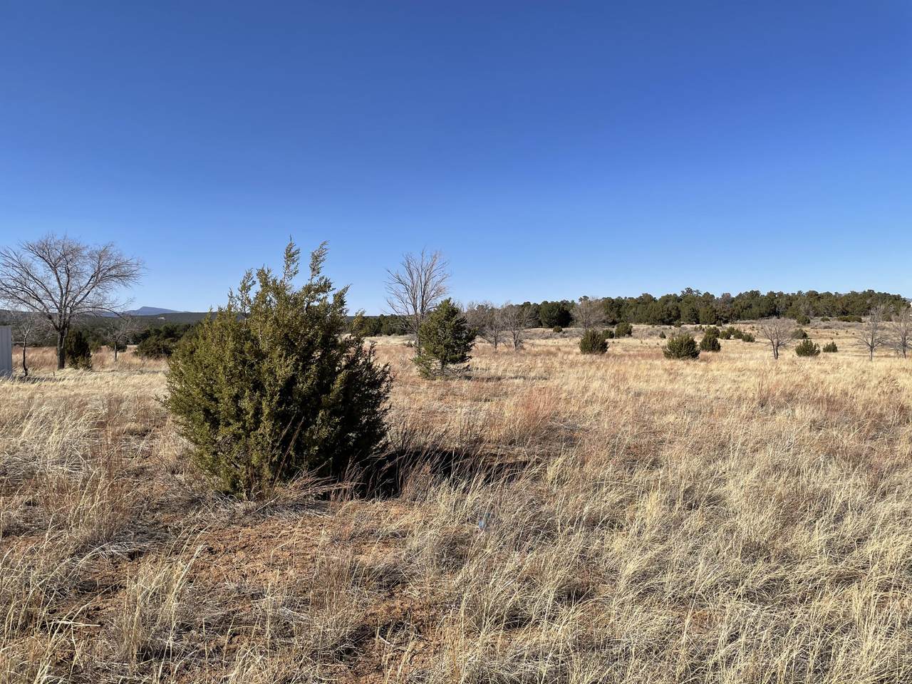 525 New Mexico 217 - Photo 1