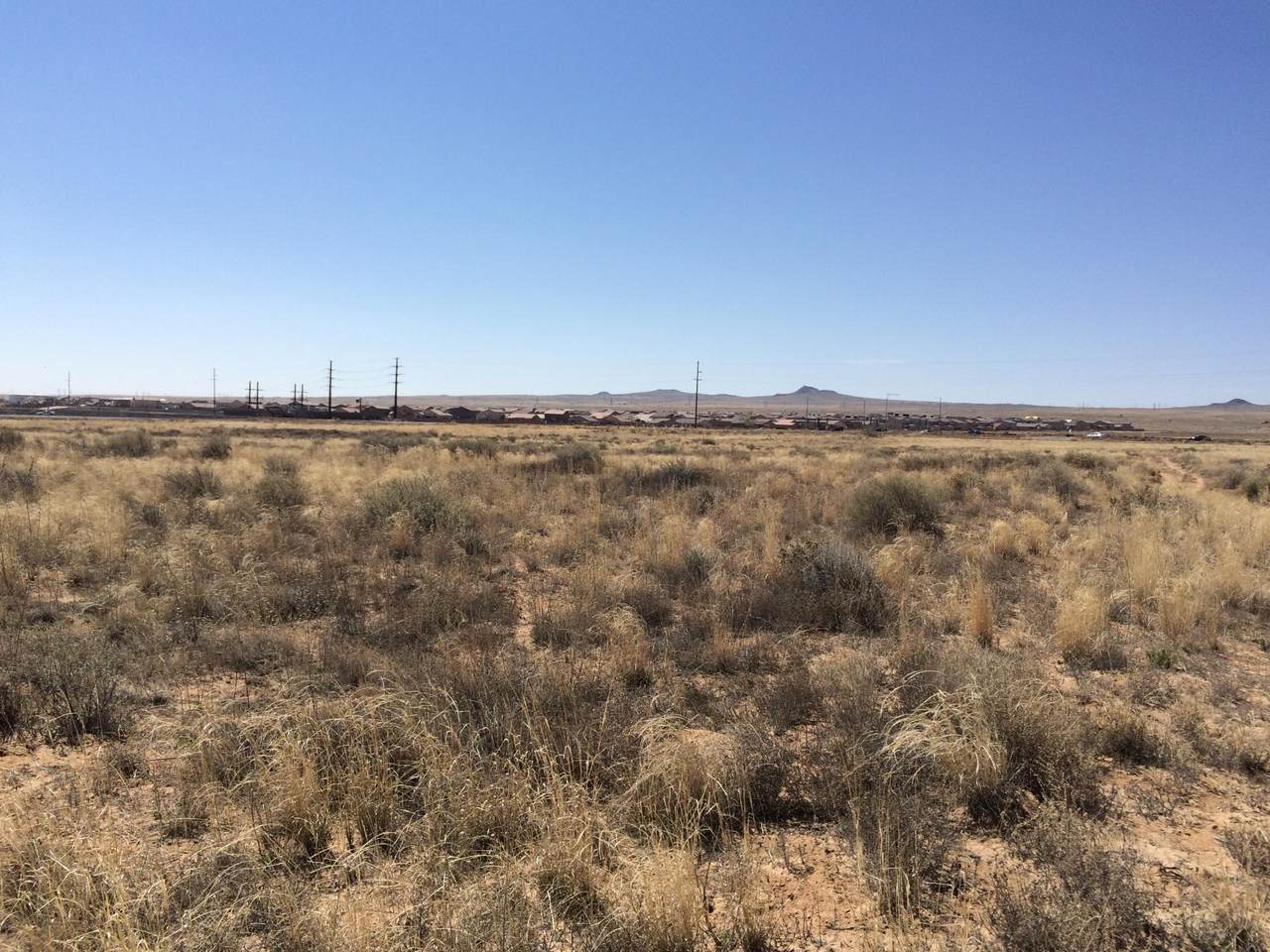 Ciervo Road - Photo 1