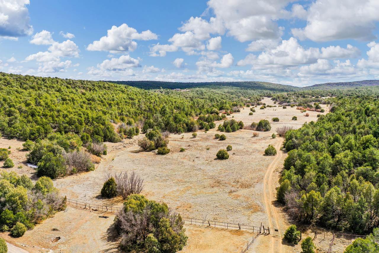 0 Sedillo Canyon Road - Photo 1