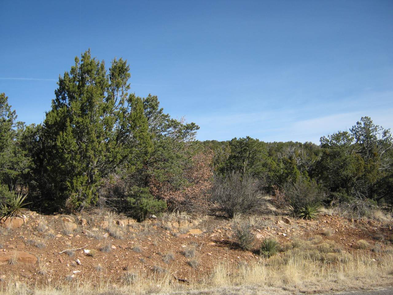 130 Kiva Place - Photo 1